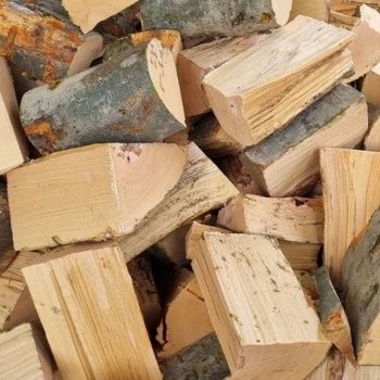 Drewno opałowe i kominkowe buk w ofercie różne gatunki drewna opał CO!