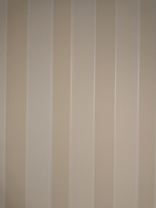 Tapeta pasy pionowe