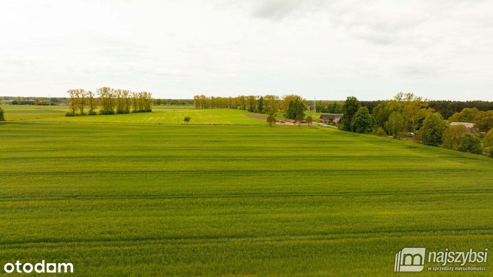 Dąbrowa Nowogardzka-działki z warunkami zabudowy
