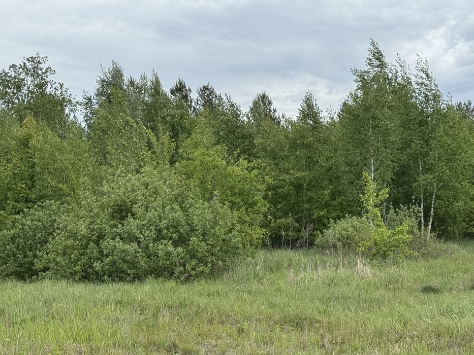 Земельна ділянка 1,5 га!!! Пилиповичі