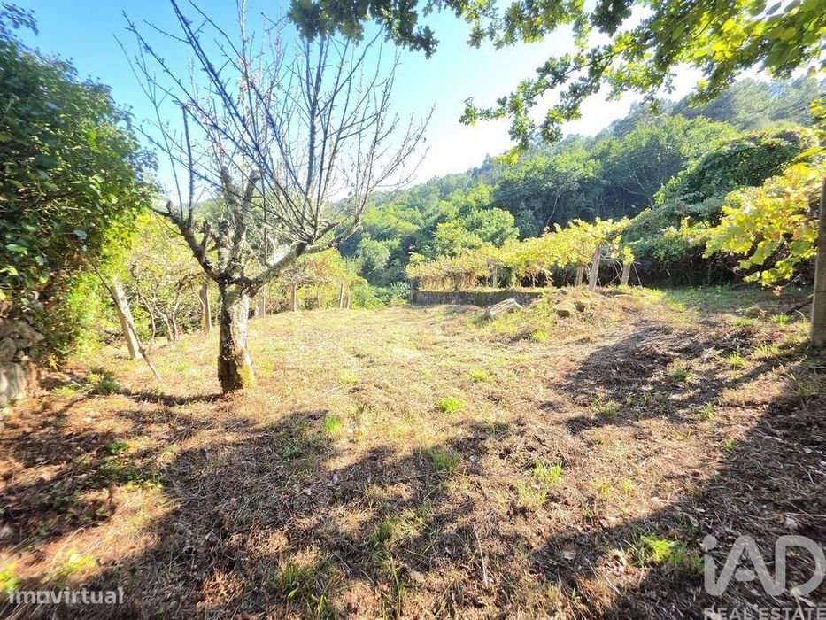Casa de Campo T2 em Covas de 192 m2