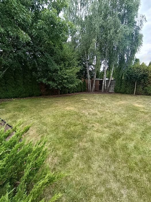 Будинок село Шевченково