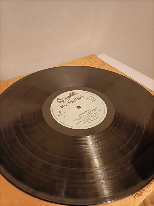 Disco Vinil - Jörg Demus a tocar Franz Shubert