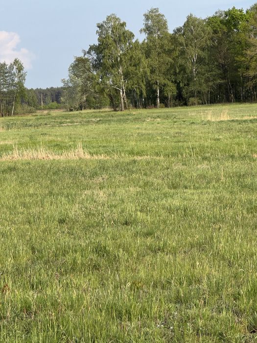 Sprzedam  działkę  rolną