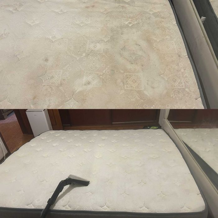 Limpeza e Higienização de estofos