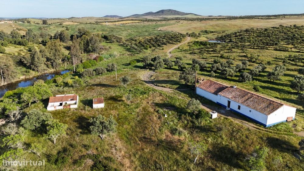 Herdade vedada barragens poços furo monte olival cortiça gado etc