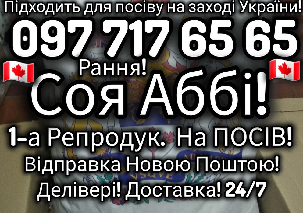 Канадська соя АББІ 1-А РЕПРОДУК на ПОСІВ! Рання Відправка НП! Делівері
