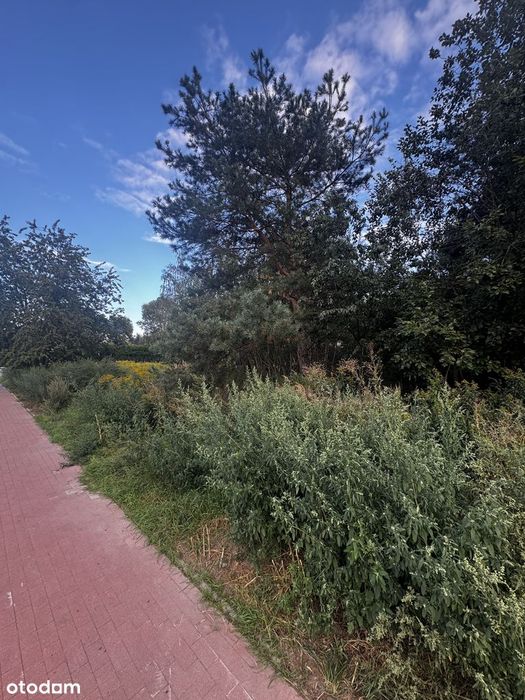 Działka budowlana w mieście z mediami - Widok 4