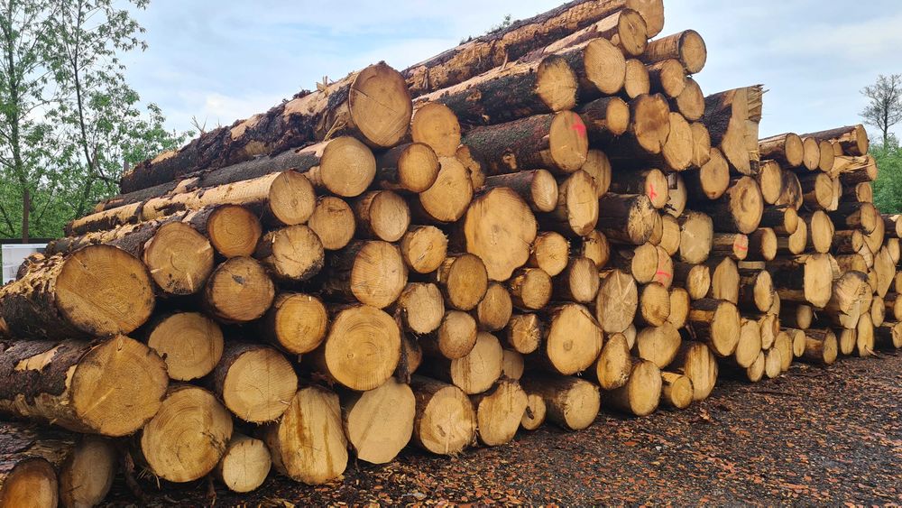 Drewno Tartaczne oraz paletowe