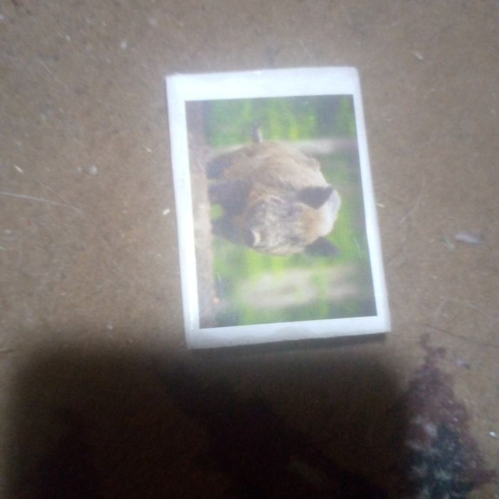 Продам спічки з візерунками