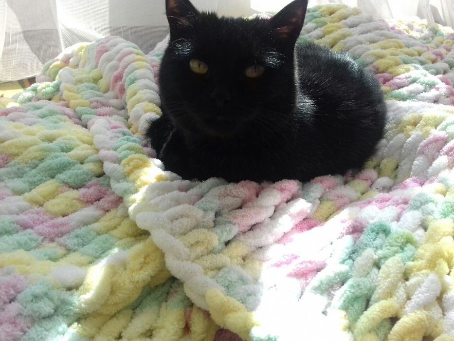 Перетримка тварин