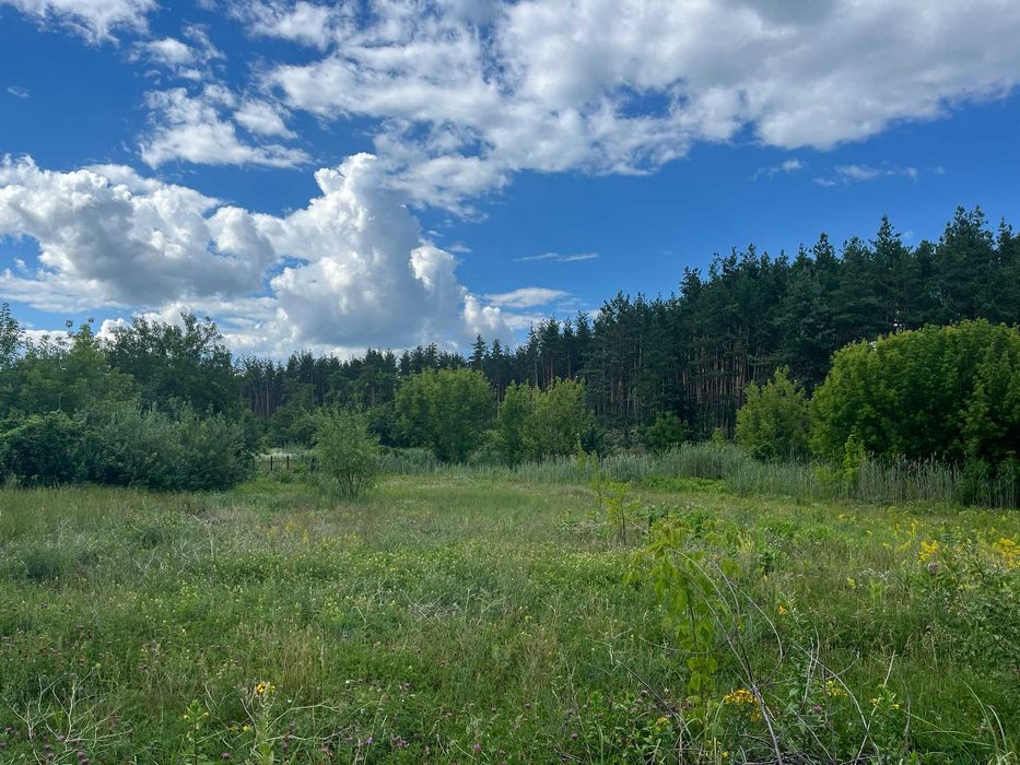 Пропонуємо до продажу земельну ділянку в с. Лозівок