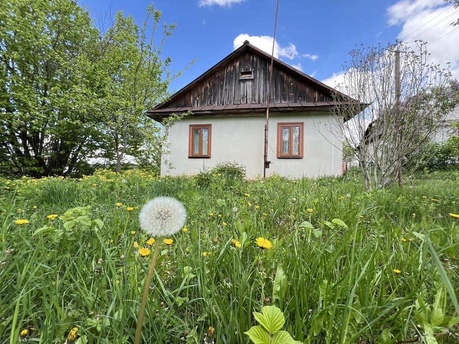 Будинок в селі Острів  поруч сосновий ліс та річка