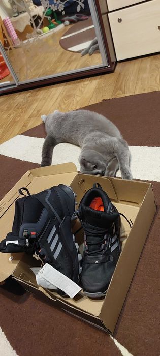 Зимові кросівки Аdidas Terrex