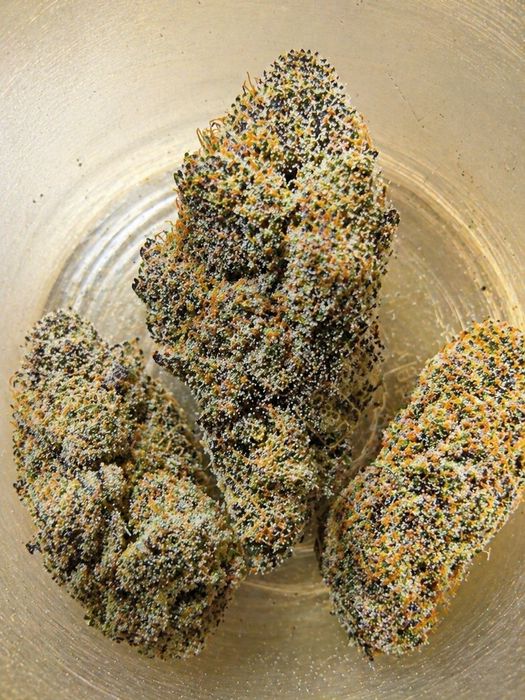 AK-49 ROYAL CBD 30% CBG 14,11% THC <0,3% 10g