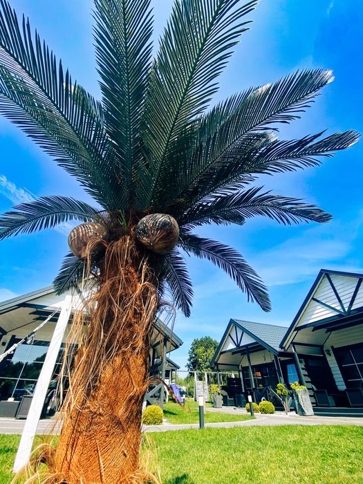 Domki nad morzem Jarosławiec 6 osób basen sauna 650 m od plaży