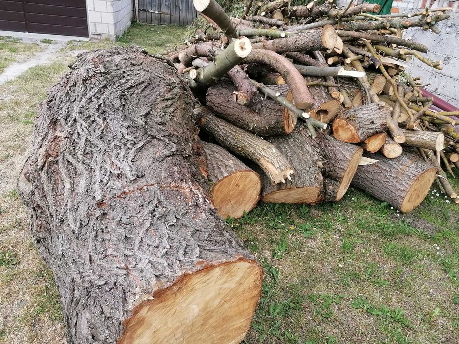 Drewno opałowe Sosna i wierzba