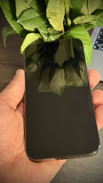 iPhone 13 Pro 256GB (Como Novo)