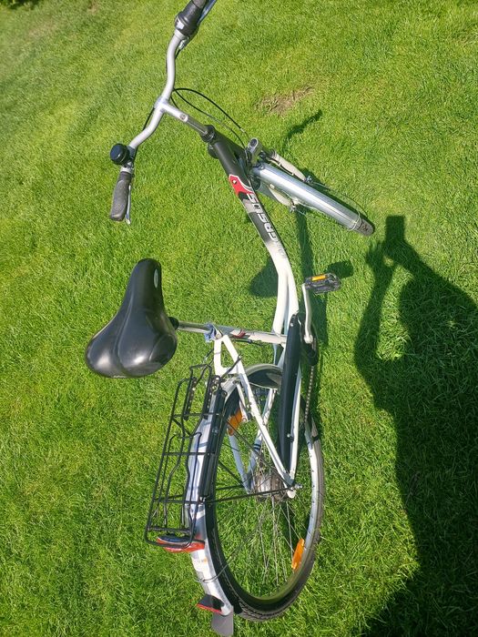 Rower damka Pegasus