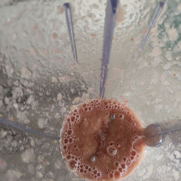 Блендер Aurora 110