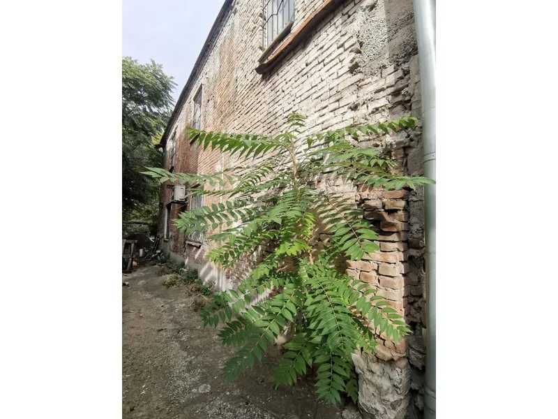 ЄМК ДП Укркольорпром, 1370,4 кв. м, вул. Старокозацька, 34А