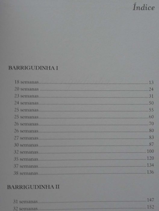 Entre Barrigas de Marcela Ruela Forjaz e Dulce de Souza Gonçalves