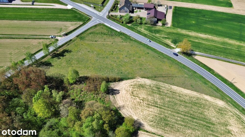 Działka inwestycyjna przy drodze powiatowej MNU 4866 m² – Witanowice - Widok 4