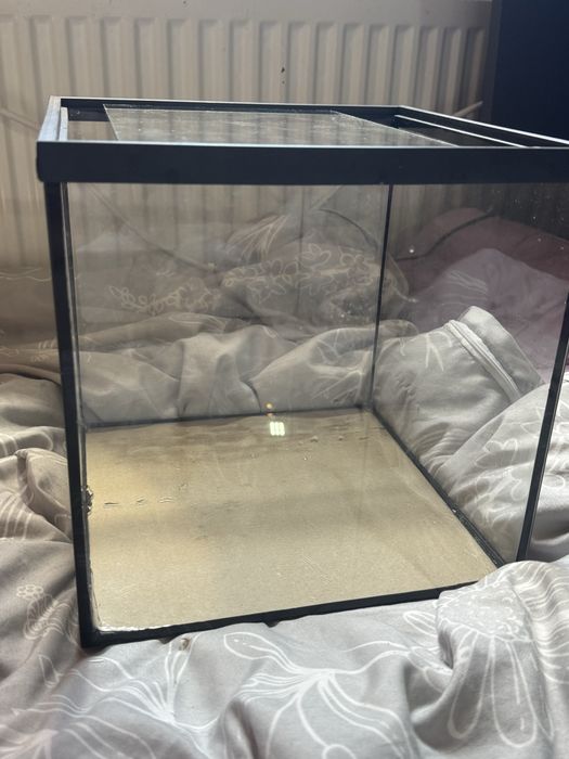 akwarium, terrarium dla ryb zolwia lub pajaka