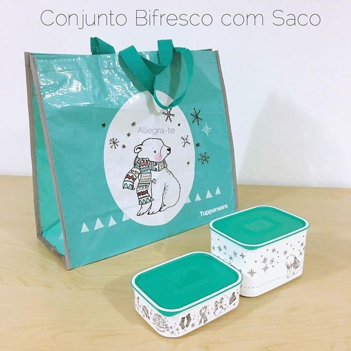 2 Caixas (500ml + 1.3L) + Saco Grande "Urso Polar" Tupperware
