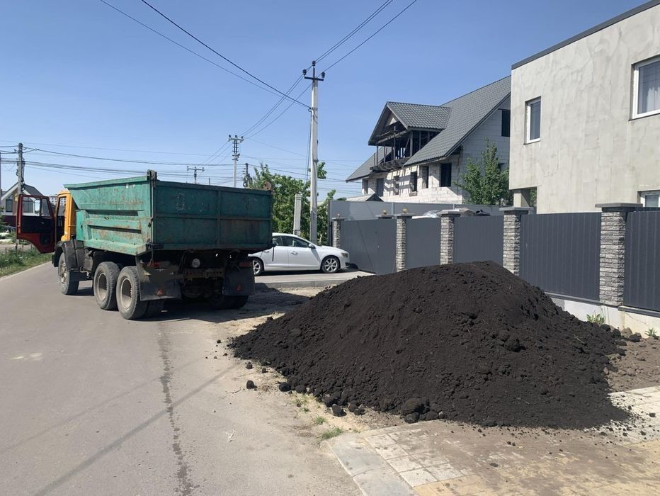Навоз  гній перегній коров'як. Чорнозем луговий. Баришівка, район.