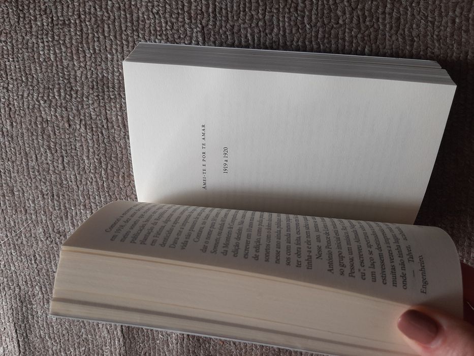 Livro Fernando Pessoa - o romance