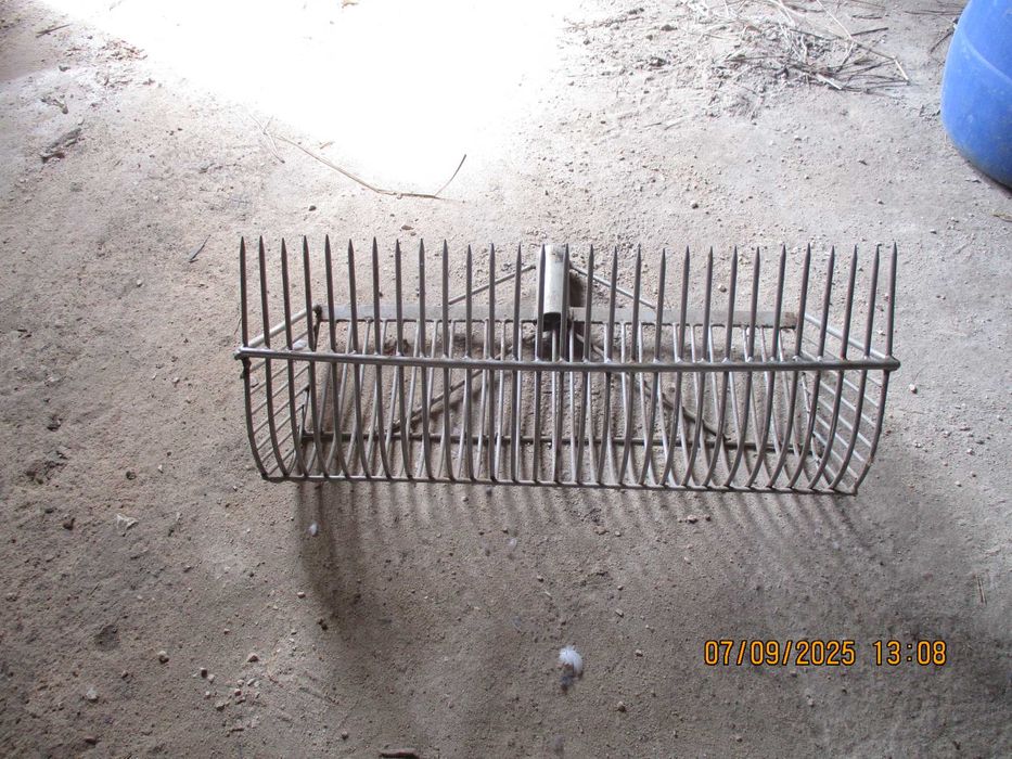 Ancinhos de apanha de bivalves