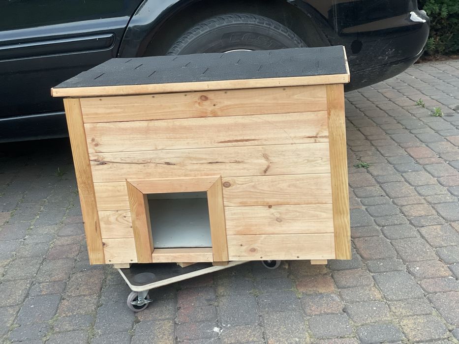 Buda dla małego psa / kota