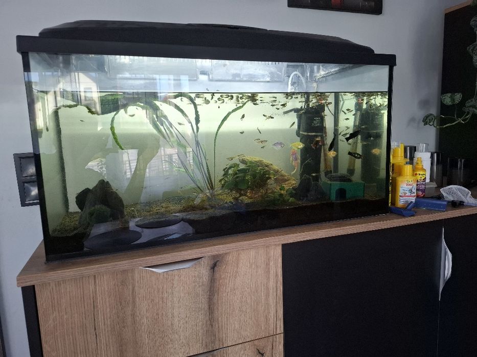 Akwarium z rybami i akcesoriami, 112L