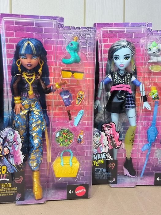 Monster High  Лялька Монстер Хай  Frankie Stein Френкі Штейн з вихованцем Cleo De Nile Клео Де Ніл