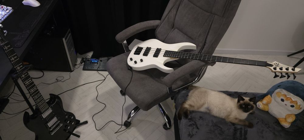 Электрогитара SG Тони Айомми