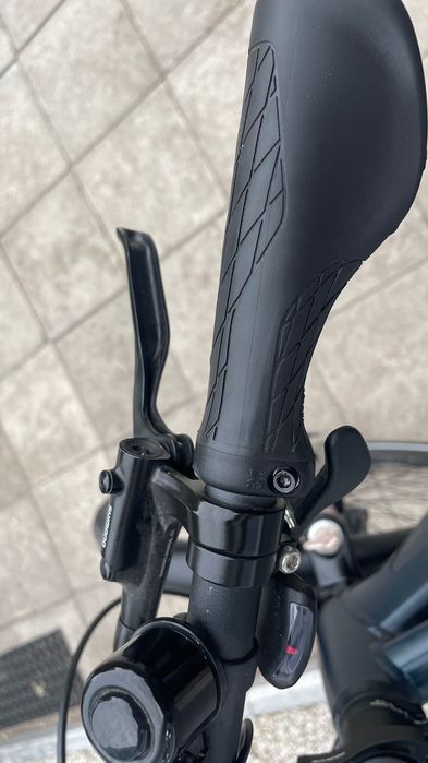 Rower elektryczny Pegasus