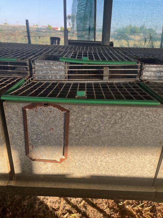 Vendo gaiolas para coelhos de engorda e maternidade