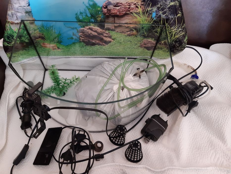 Akwarium i akcesoria