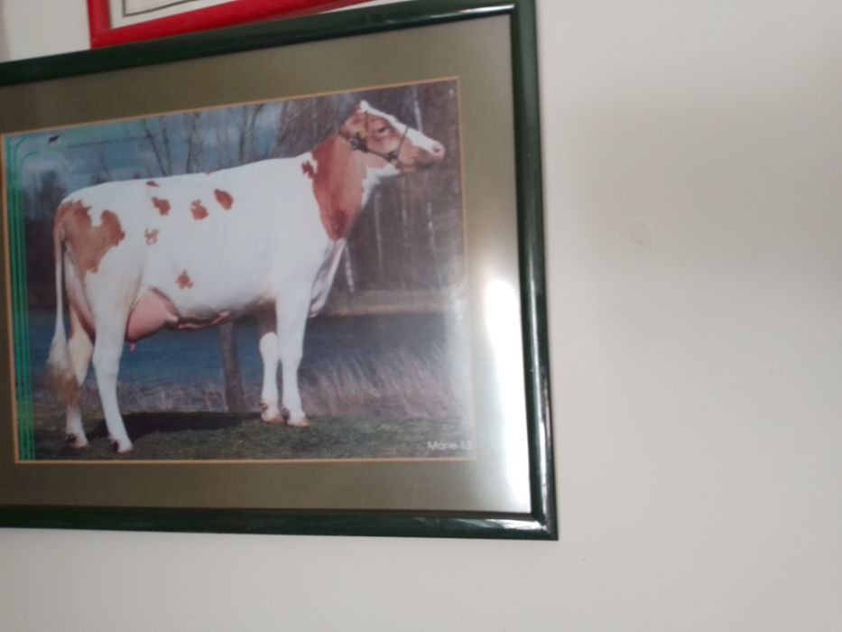Quadro Menina linda-20E-Menina que estás janela!Moldura ferro9EDesde2E