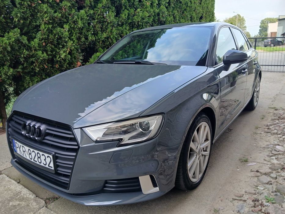 Audi A3 1,6 diesel zarejestrowane
