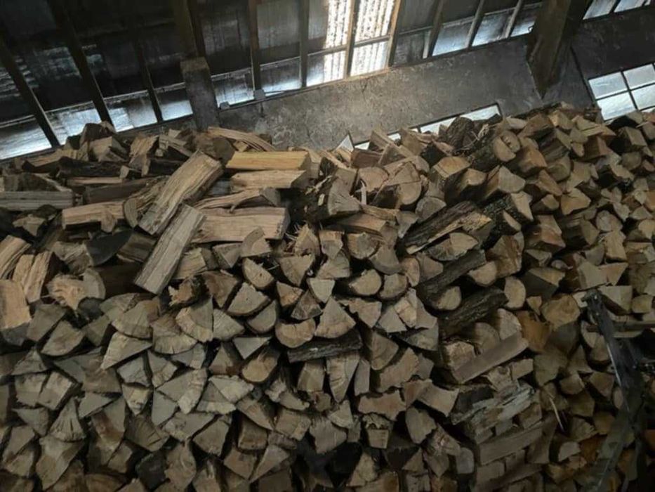 Vários tipos de lenha seca