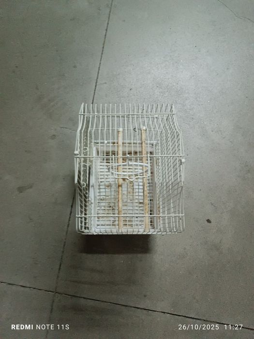 Gaiola de arame como Nova