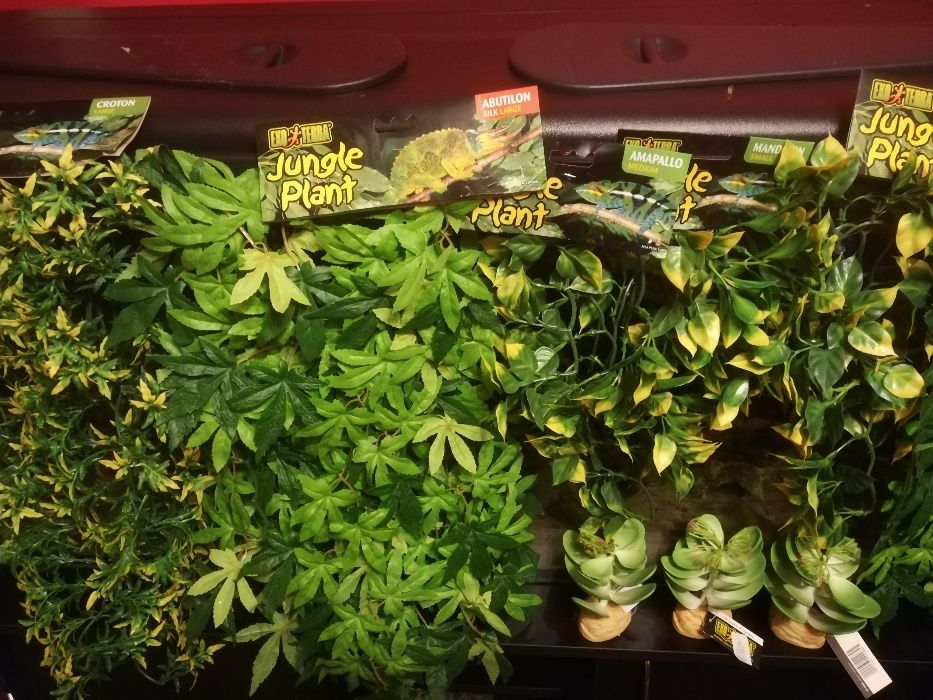 TERRARIUM rośliny Exoterra nowe terarium