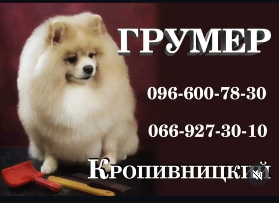 Грумер Кропивницький