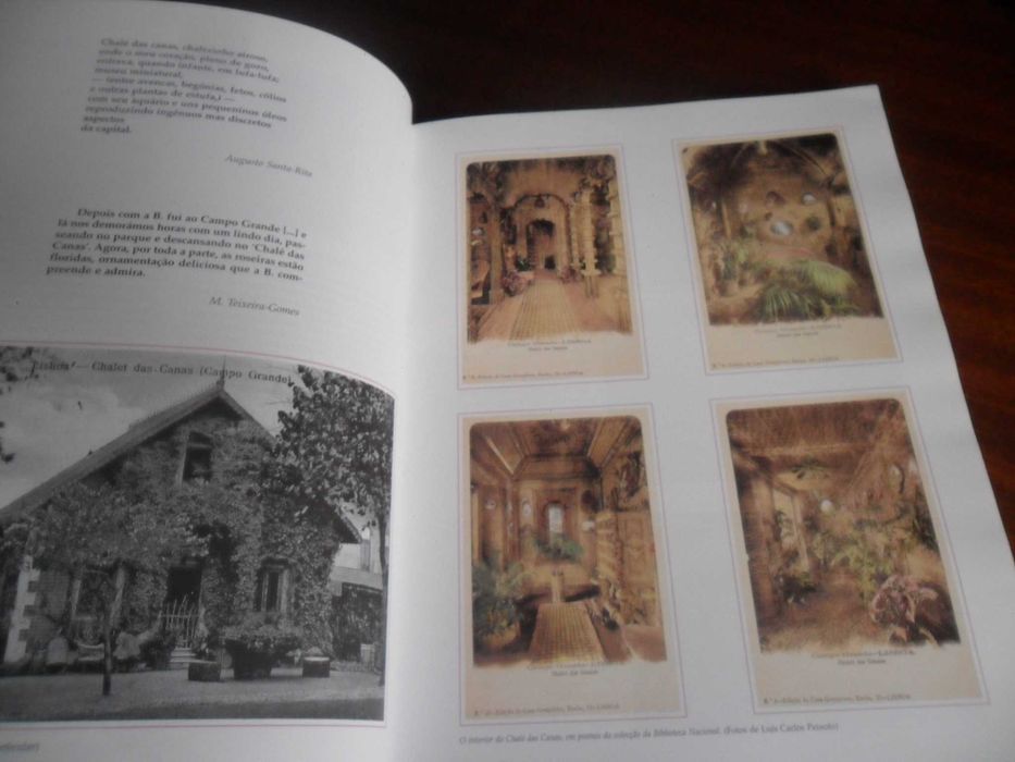 "Um Passeio à Volta do Campo Grande" de Manuela Rêgo - 1ª Edição 1996