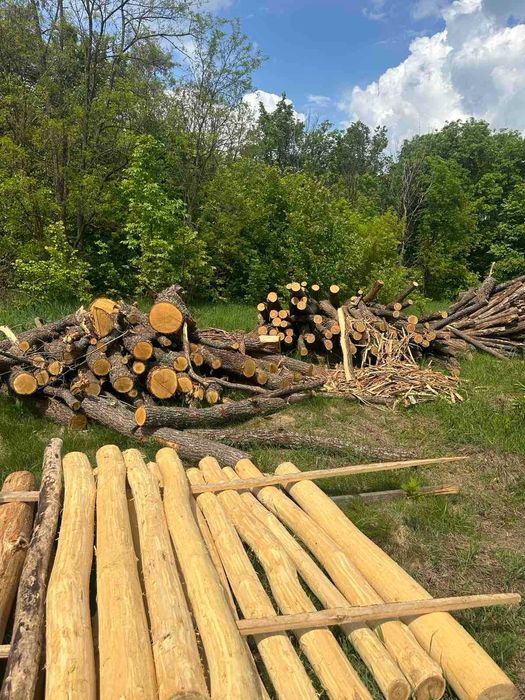 продам дрова колоті сухі,