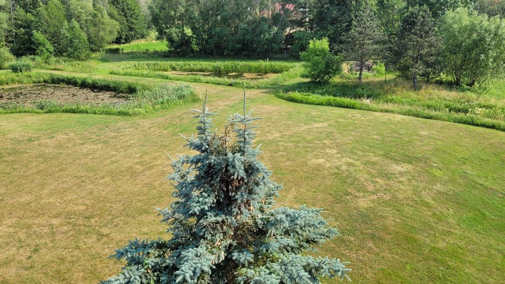 Dom do wynajęcia - wypoczynek, agroturystyka- Skrybicze