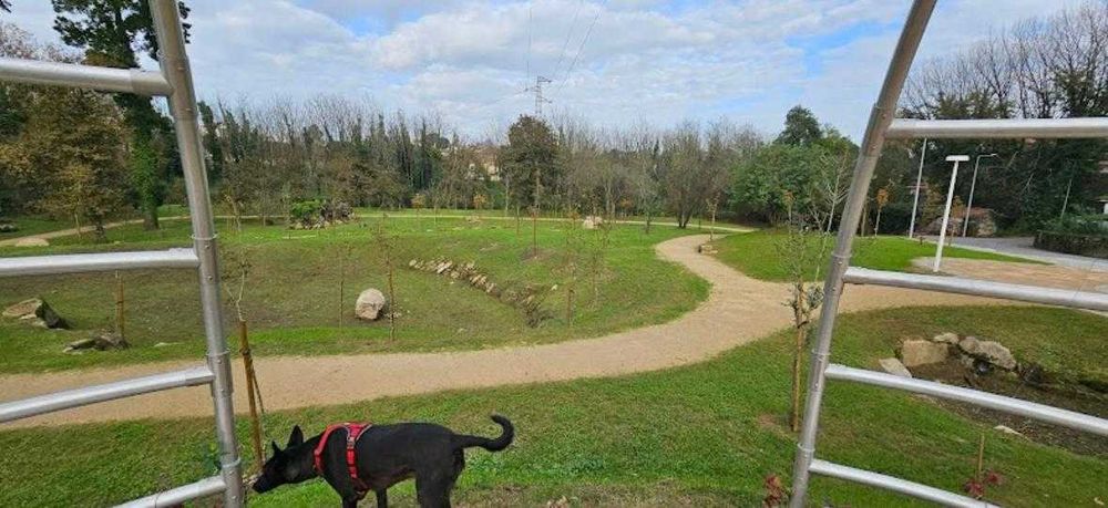 Terreno 241 m² Milheiros – Maia | Moradia 2 Pisos |