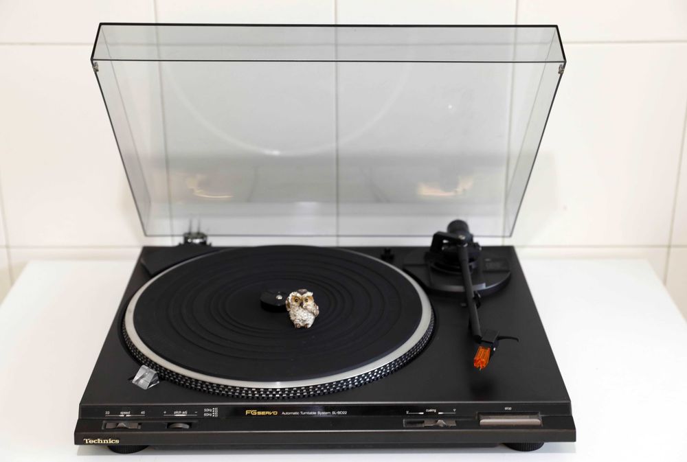 Technics SL-BD22 Gira discos